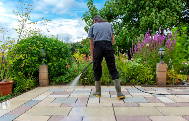 Animal Enclosure Cleaning in Napoleon, OH